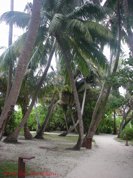 Вдоль пляжа и внутрь острова ведут тенистые аллеи.