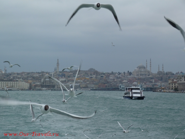 Мы думали, что едем на юг, но в Стамбуле была жуткая холодина. Ветер с Босфора пронизывал насквозь